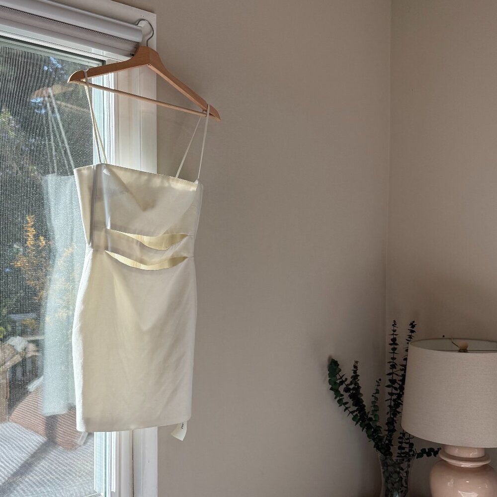 Michelle Mason Square Neckline Mini Dress